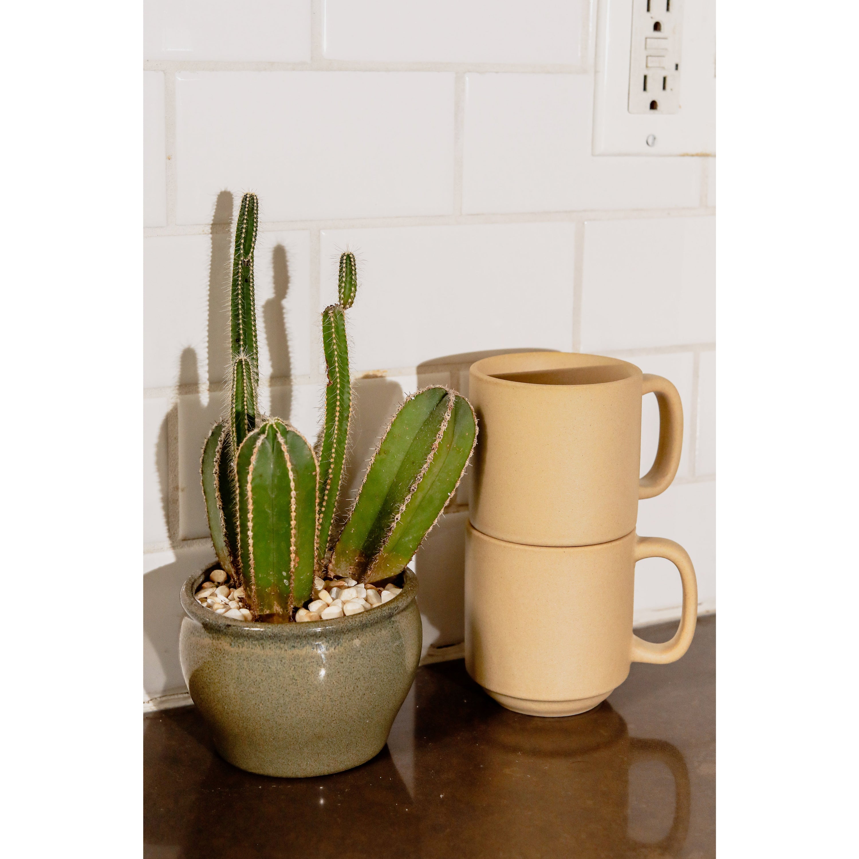 Zion Mug Set